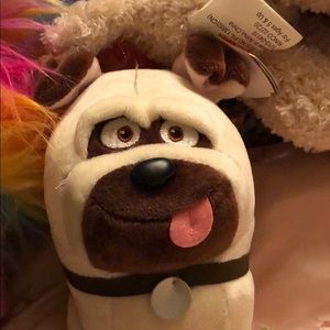 Meet your Posher, Julia